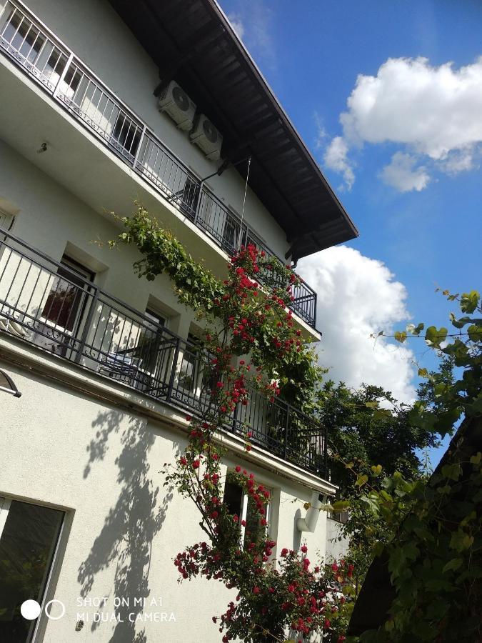 Casa Romaneasca Curtea de Argeş Exterior foto